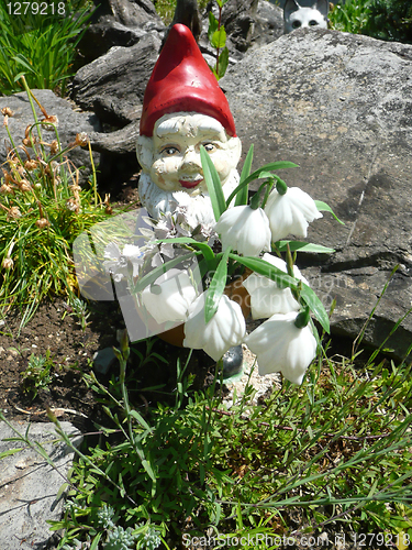 Image of Garden gnome behind flowers