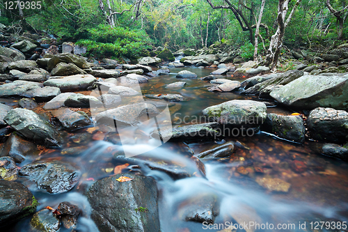 Image of water spring in jungle