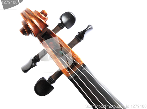 Image of violin head