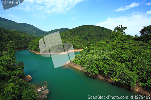 Image of lake in forest