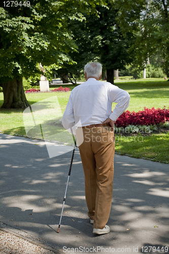 Image of Senior enjoying the park