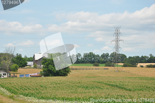 Image of Farming