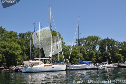 Image of Waterfront in Toronto