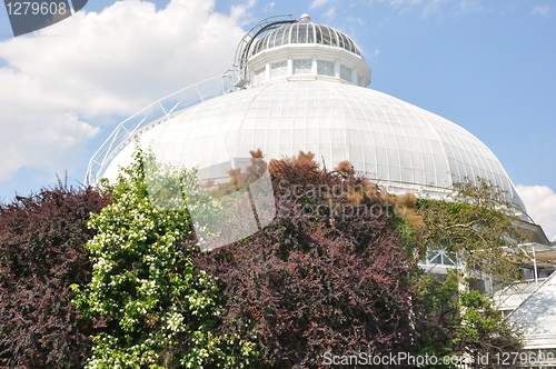 Image of Allan Gardens Conservatory in Toronto