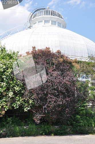 Image of Allan Gardens Conservatory in Toronto