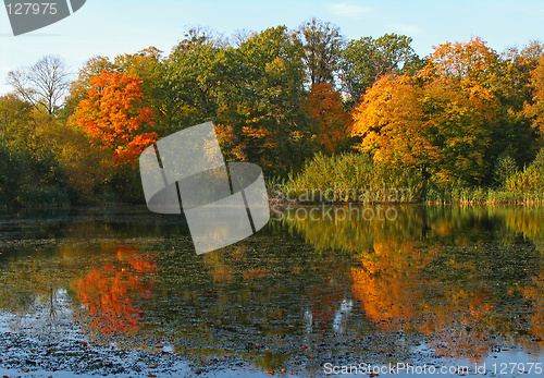 Image of Autumn reflection