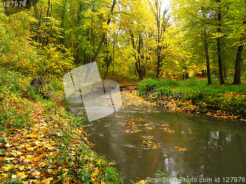 Image of Colors of autumn