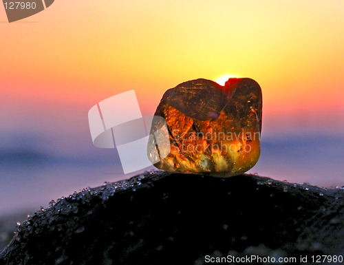 Image of sea incense