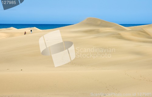 Image of Seeing the ocean