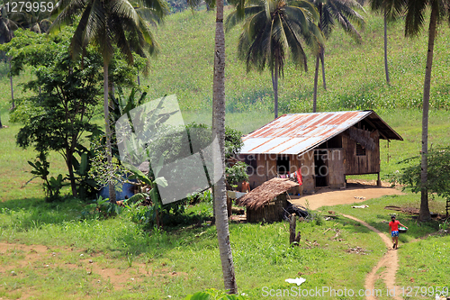 Image of Mountain farm in the Philipines