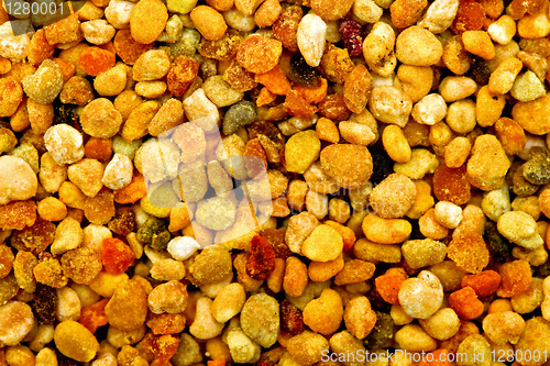 Image of Bee pollen macro