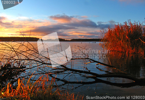 Image of sunrise after a rain