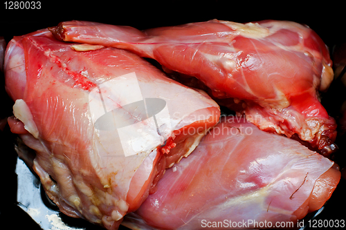 Image of Fresh rabbit