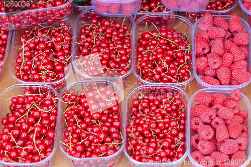 Image of Red currant