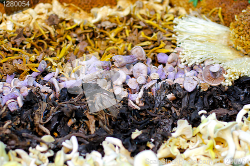 Image of Wild mushroom mix