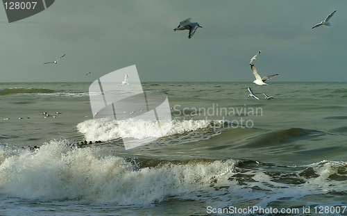 Image of Lead waves of Baltic sea