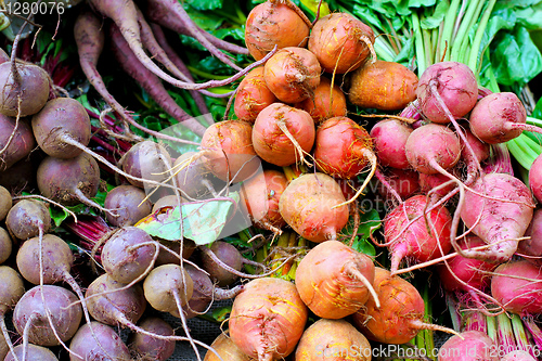 Image of Beetroot variety