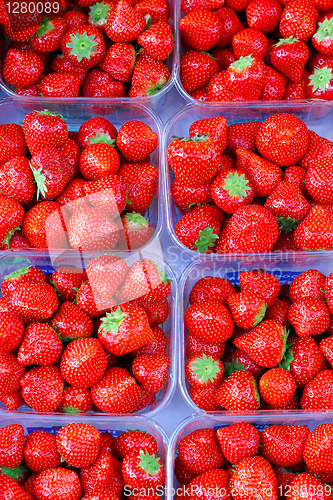 Image of Fresh strawberries