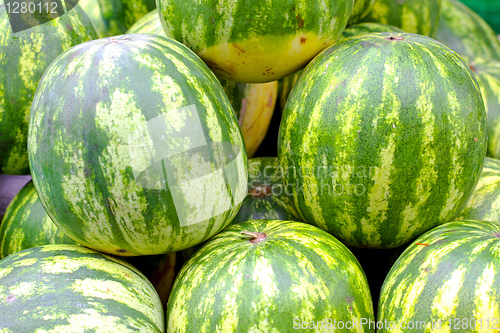 Image of Watermelons