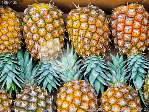 Image of Pineapples