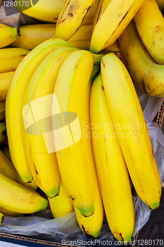Image of Bananas