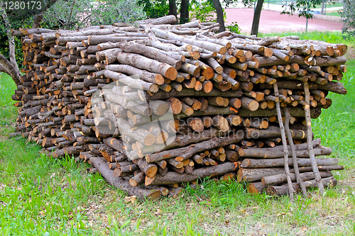 Image of Firewood pile