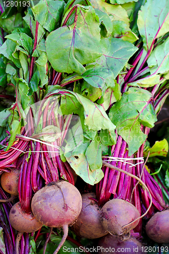 Image of Beetroots