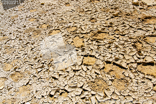 Image of Cracked desert land