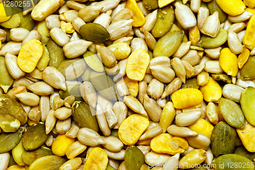 Image of Organic seeds