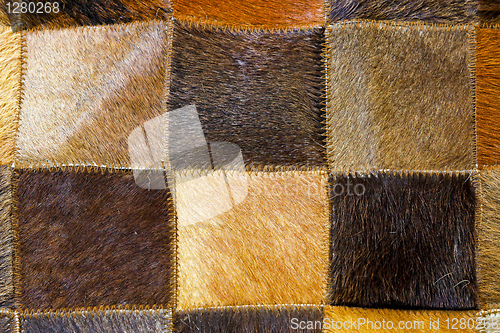 Image of Brown pelt