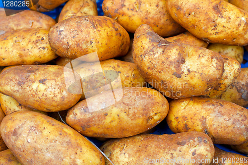 Image of Potato