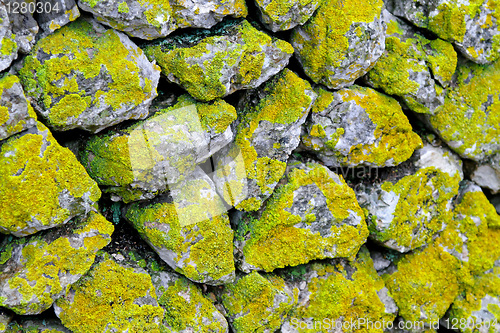 Image of Moss stones