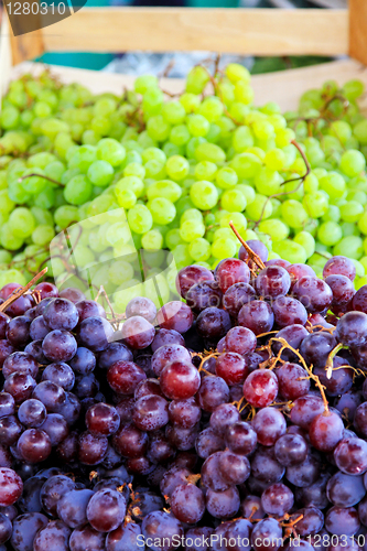 Image of Two grapes