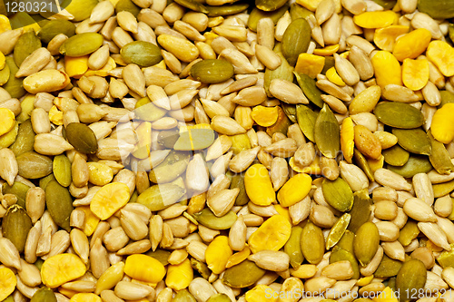Image of Seeds