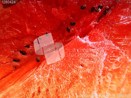 Image of watermelon close up background
