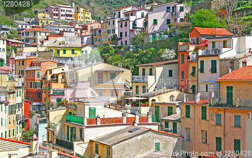 Image of Italy. Cinque Terre. Riomaggiore 