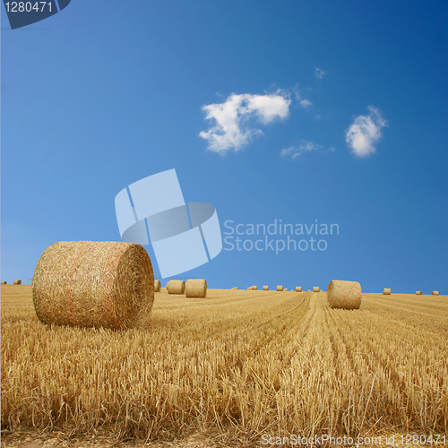 Image of Straw Bales