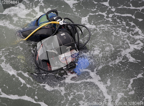 Image of Diver in the water