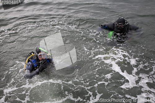 Image of Divers in the water