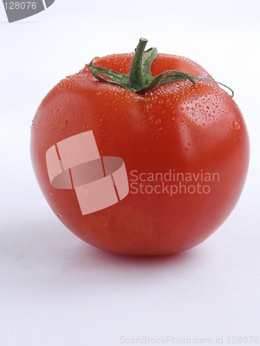 Image of Tomato portrait II
