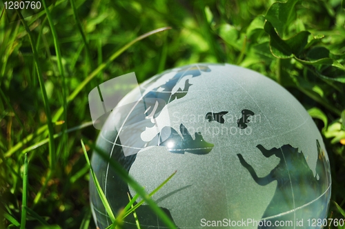 Image of glass globe or earth in grass