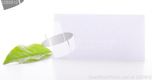 Image of blank paper