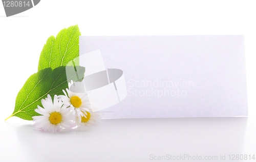 Image of paper