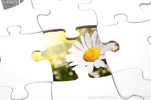 Image of puzzle and flower