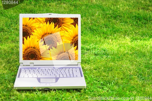 Image of flowers and laptop
