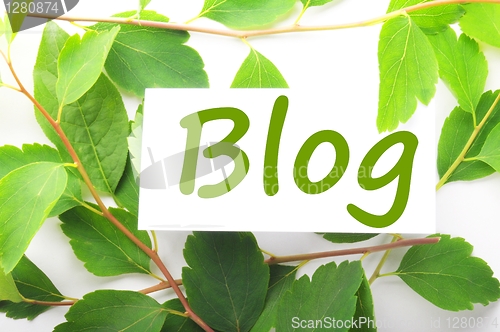 Image of blog