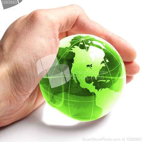 Image of ecology