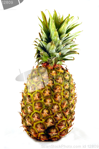 Image of Pineapple On White