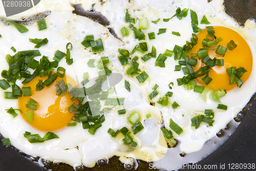 Image of Fried eggs