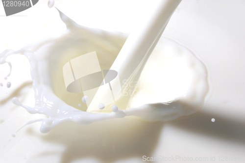 Image of milk splash